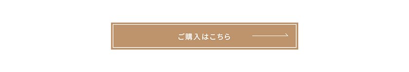 エーメイク 購入ボタン