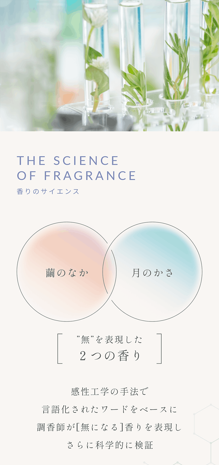 SUNCA スンカ ゼロバリー入浴剤 アソート4錠