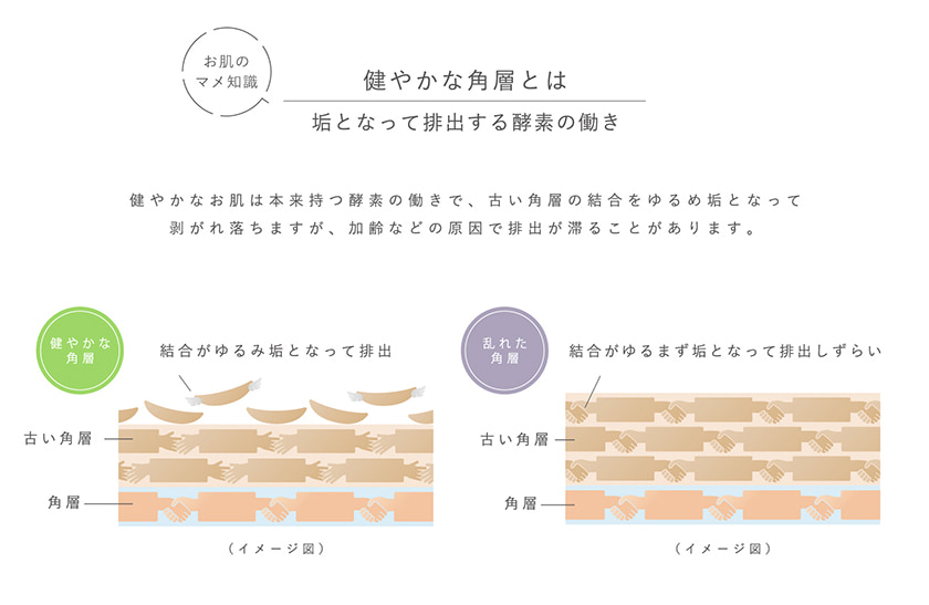 TIME SECRET 1stローション スペック