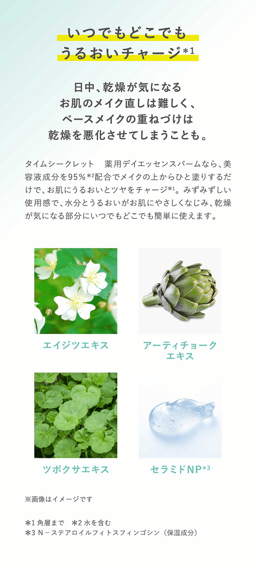 タイムシークレット 薬用デイエッセンスバーム