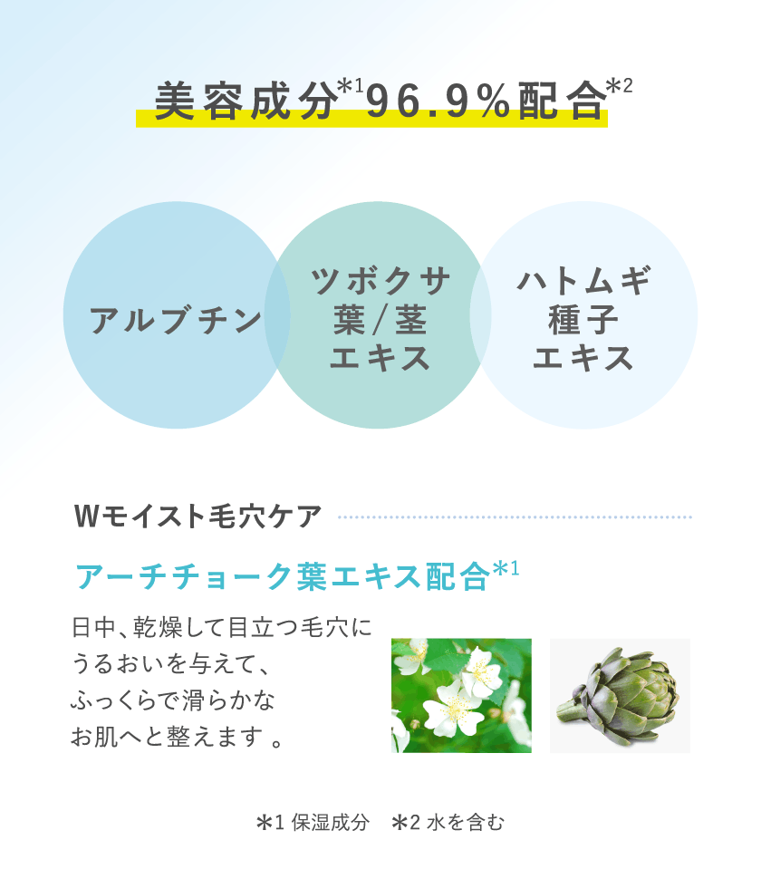 タイムシークレット ミスト クール R2 成分