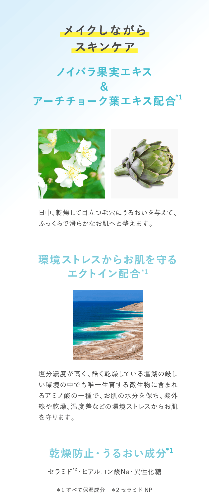 タイムシークレット プレストパウダー クール R2 成分