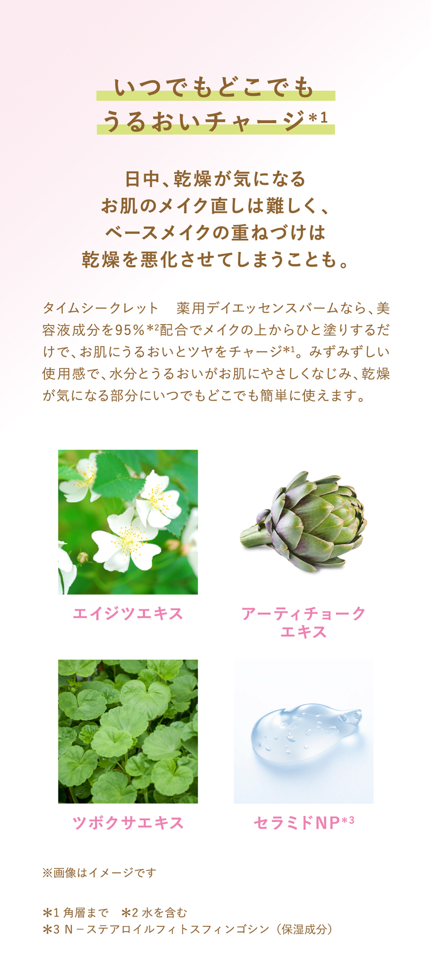 タイムシークレット おぱんちゅうさぎ