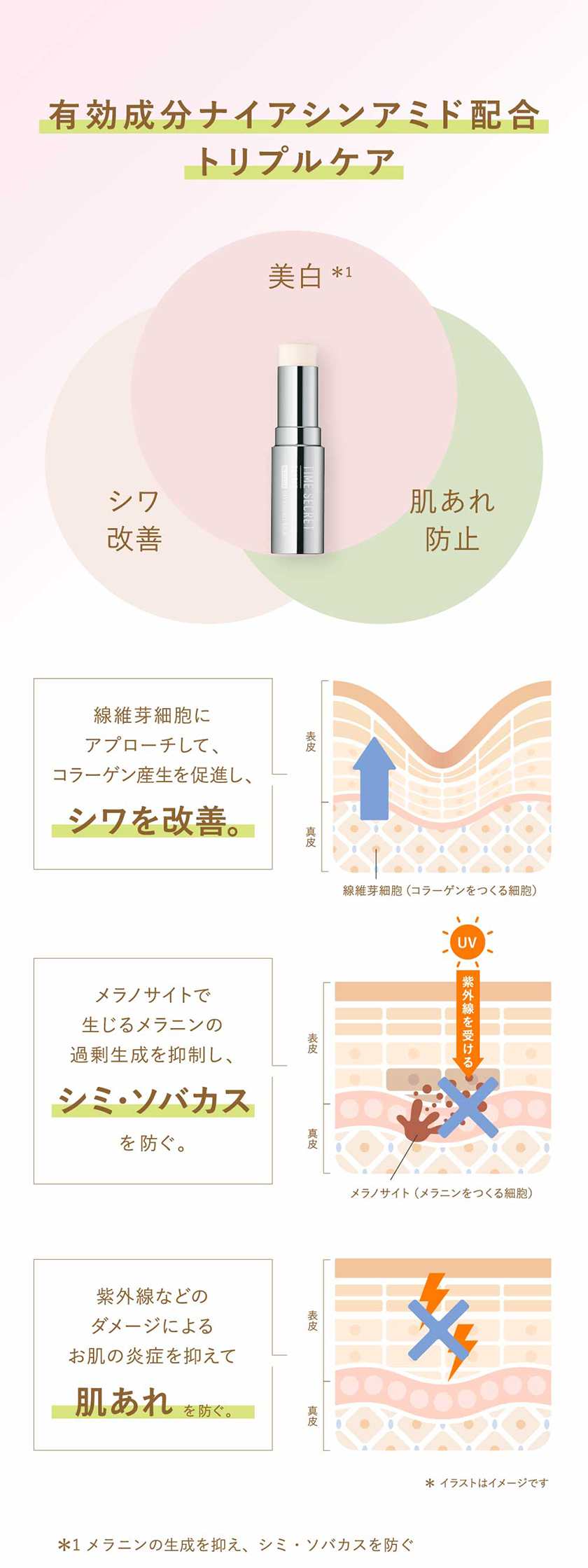 タイムシークレット おぱんちゅうさぎ