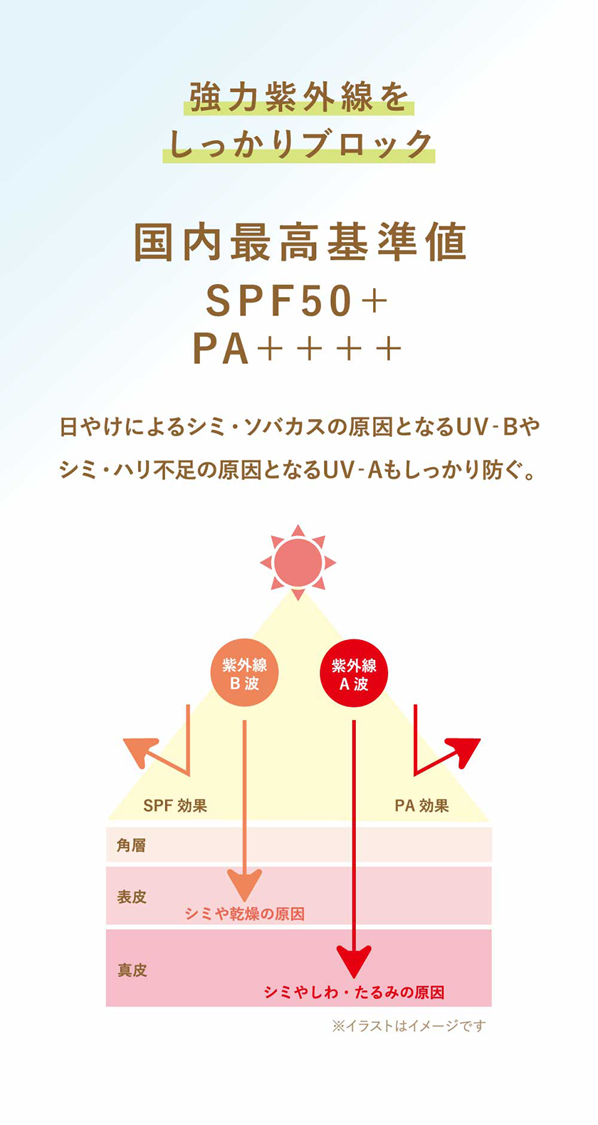タイムシークレット おぱんちゅうさぎ