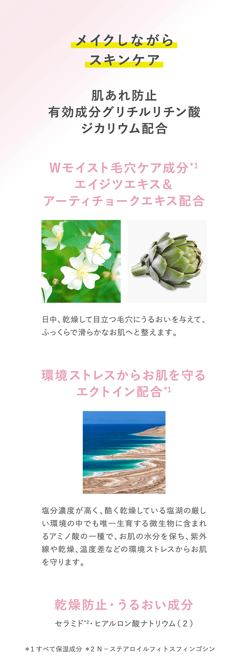 タイムシークレット TIME SECRET うるさらパウダー 成分