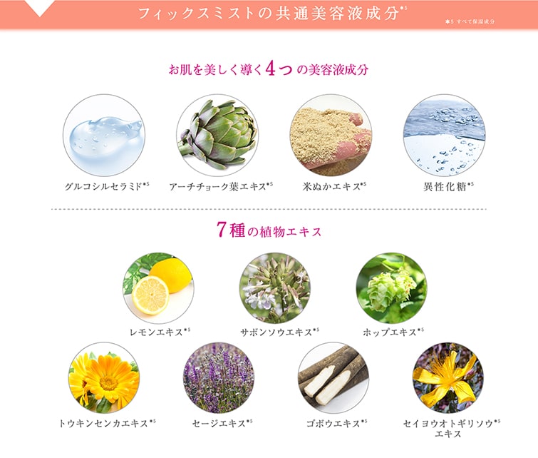 TIME SECRET フィックスミスト 仕上げ用化粧水 成分