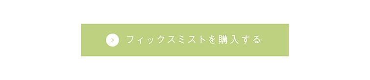 TIME SECRET フィックスミスト 仕上げ用化粧水 ボタン
