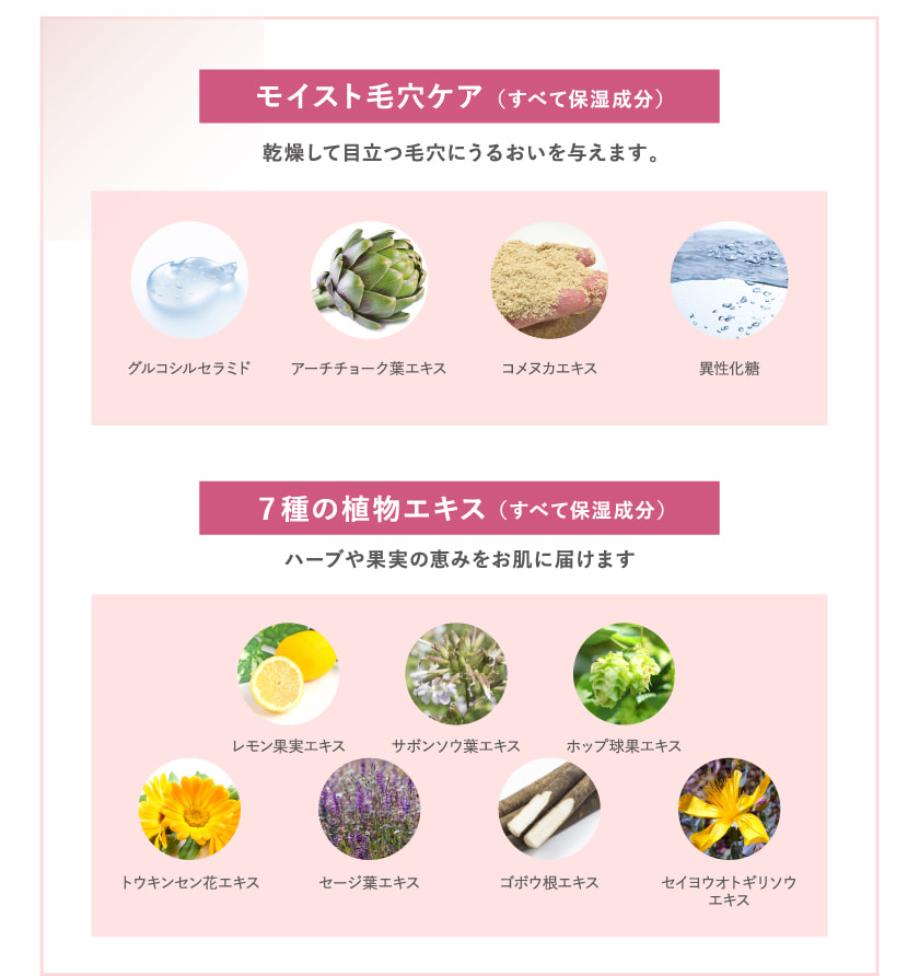 タイムシークレット TIME SECRET フィックスミスト 使い方